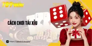 Cách Chơi Tài Xỉu: Mẹo Cược Thông Minh Dành Cho Mọi Người